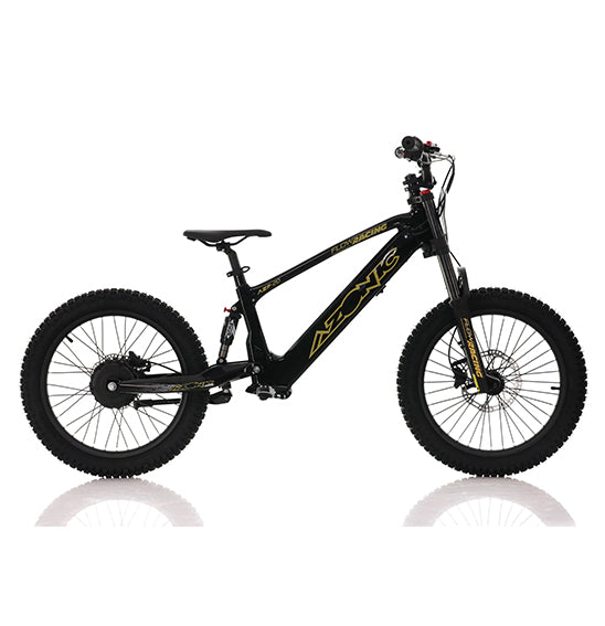 AZONIC Flow 20 (AZF-20) - Electric Balance Bike