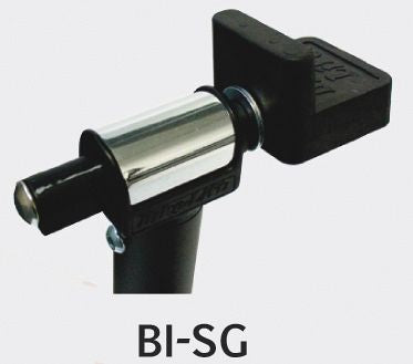 bi-sg