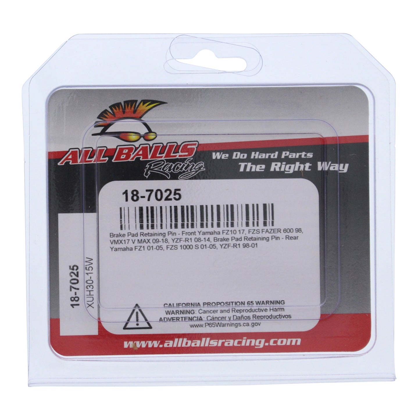 All Balls Racing Brake Pin Kit (18-7025)