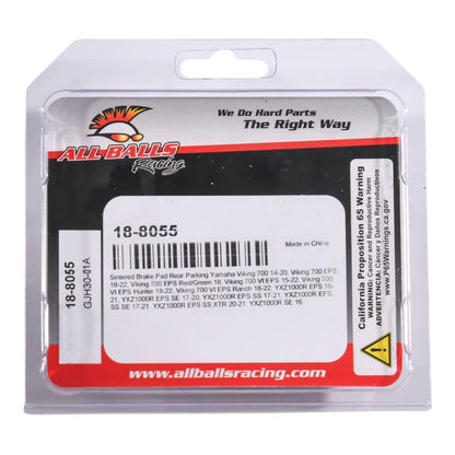 All Balls Racing Sintered Brake Pads (18-8055)