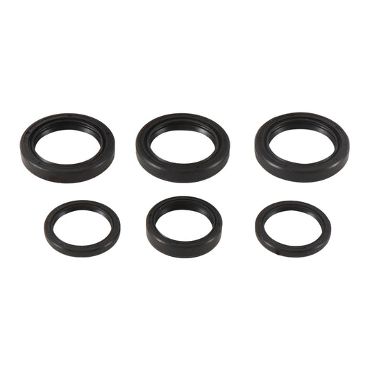 Differential Seal Kit 25-2065-5