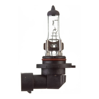 Whites Bulbs 12V 45w H/L H10 Halogen (ea)