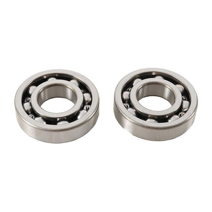 Main Bearing and Seal Kit