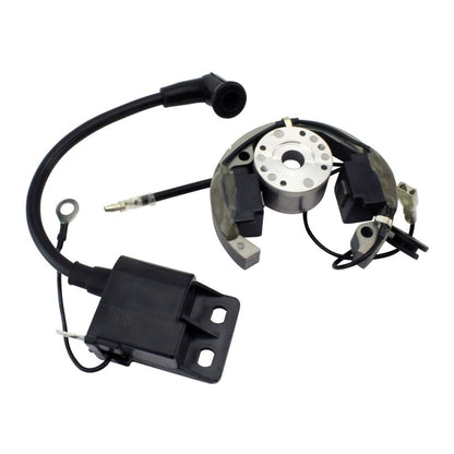 Stator + Rotor + Ignition Coil Kit (RMS900-107608)