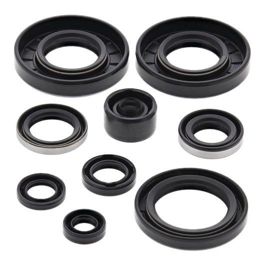 Oil Seal Kit 822292