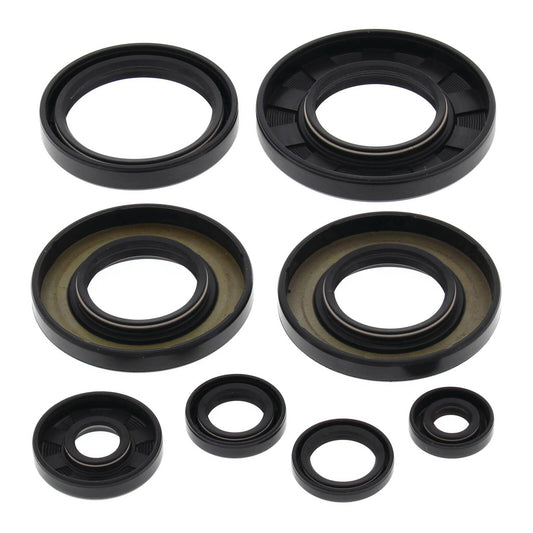Oil Seal Kit 822349