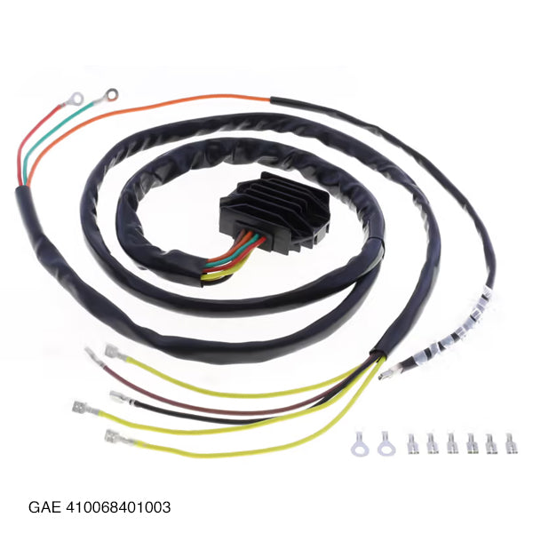 GAE 410068401003