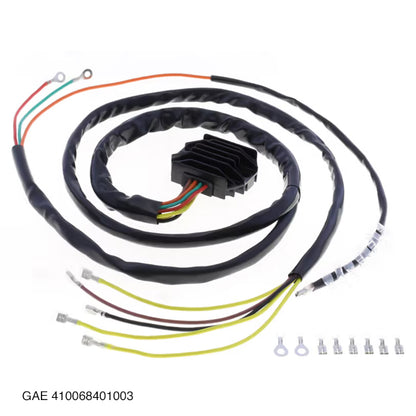 GAE 410068401003