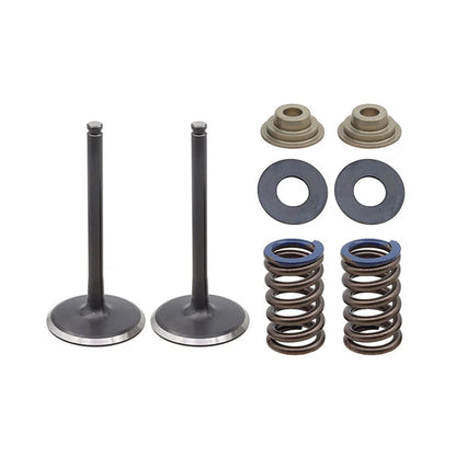 INLET VALVE KIT PSYCHIC MX INCLUDES 2 VALVES, 2 SPRINGS, RETAINERS & SEATS